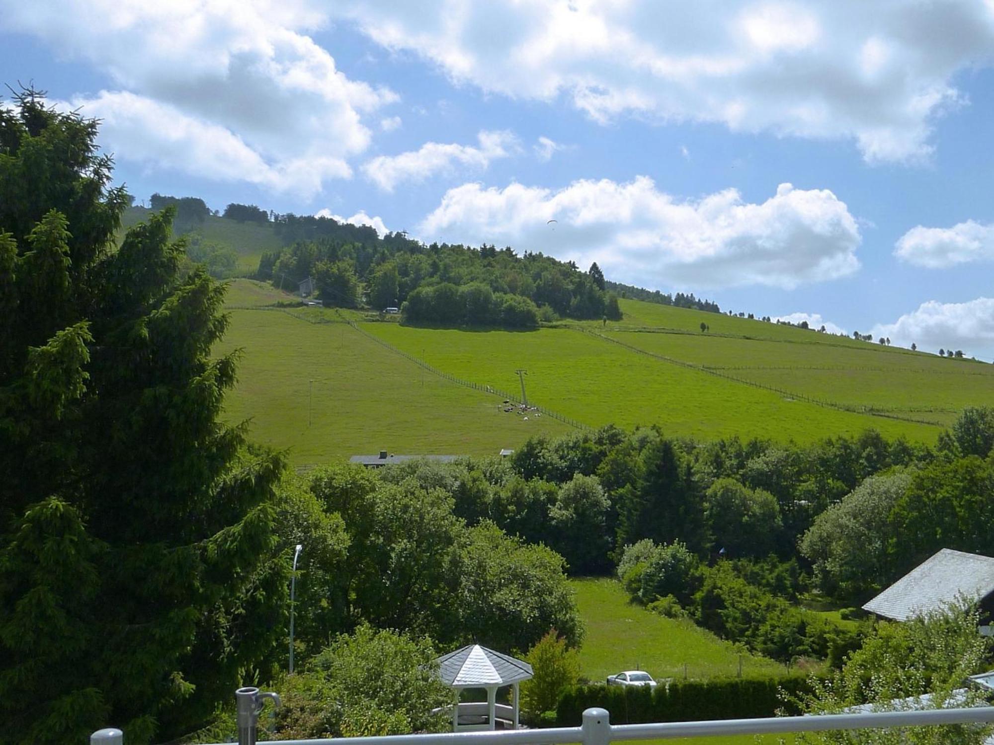 Modern Apartment In Willingen Near Ski Lift Εξωτερικό φωτογραφία